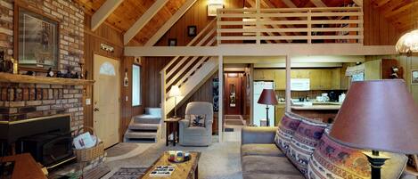 TV, fireplace, books, video library