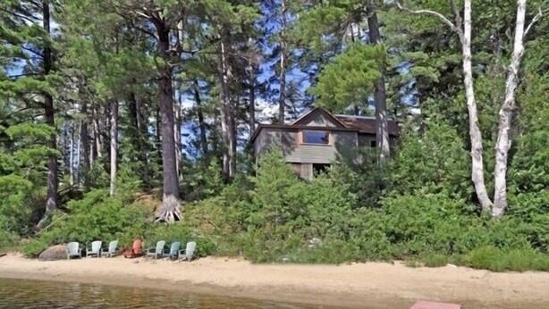 Une cabane entourée de grands arbres, une plage de sable et une jetée qui s’avance dans l’eau.