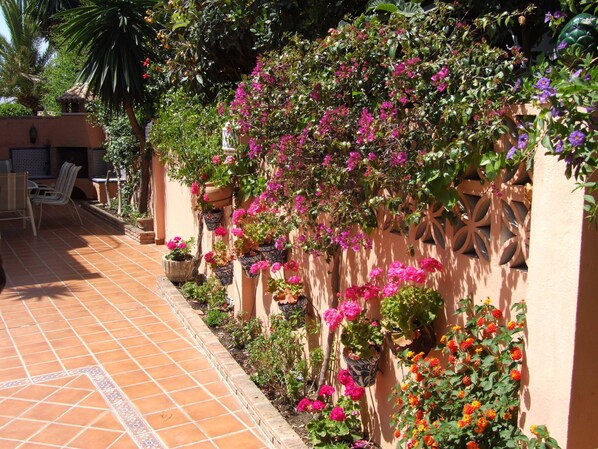Terraza o patio