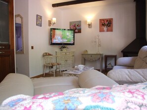 Smart TV, chimenea, libros y estéreo 