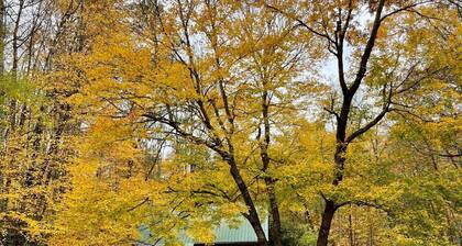 Log Cabin - Best 3 Bdrm Value - Close to Boone & ASU - Free Night for every 3