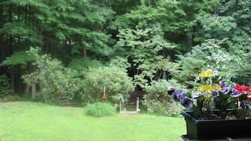 Overnatningsstedets område