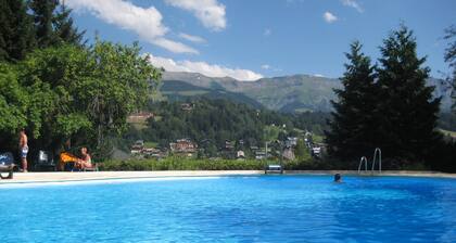Apartment/ flat - MEGEVE