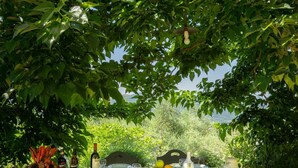 An outdoor dining table set with plates, glasses, and a bottle, surrounded by lush greenery and a view of the landscape. - Beautiful private villa with private pool, WIFI, A/C, TV and balcony, close to Florence (Pontassieve)