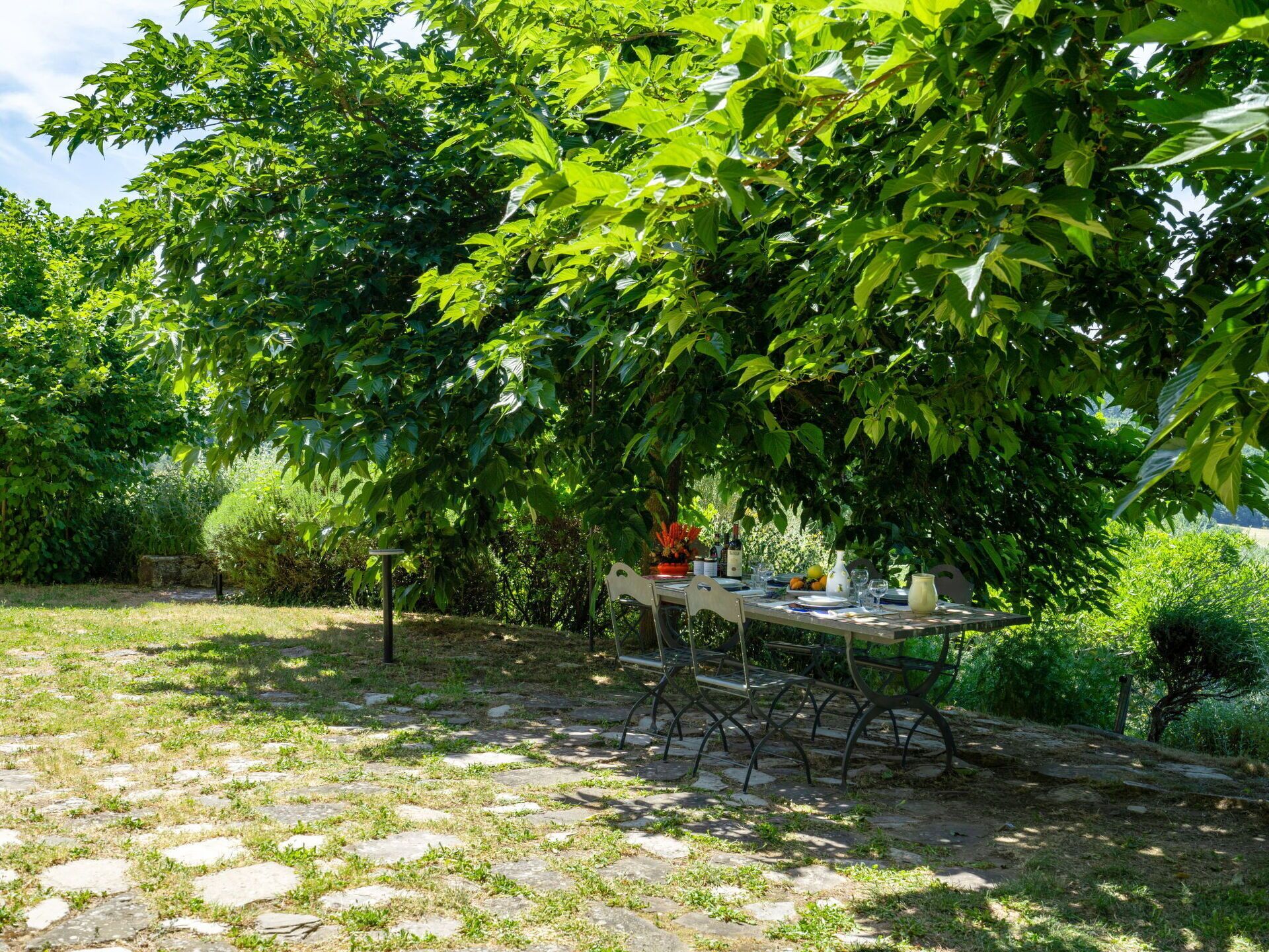 Un espace de restauration en plein air avec une table installée sous un arbre, entourée d’une végétation luxuriante.