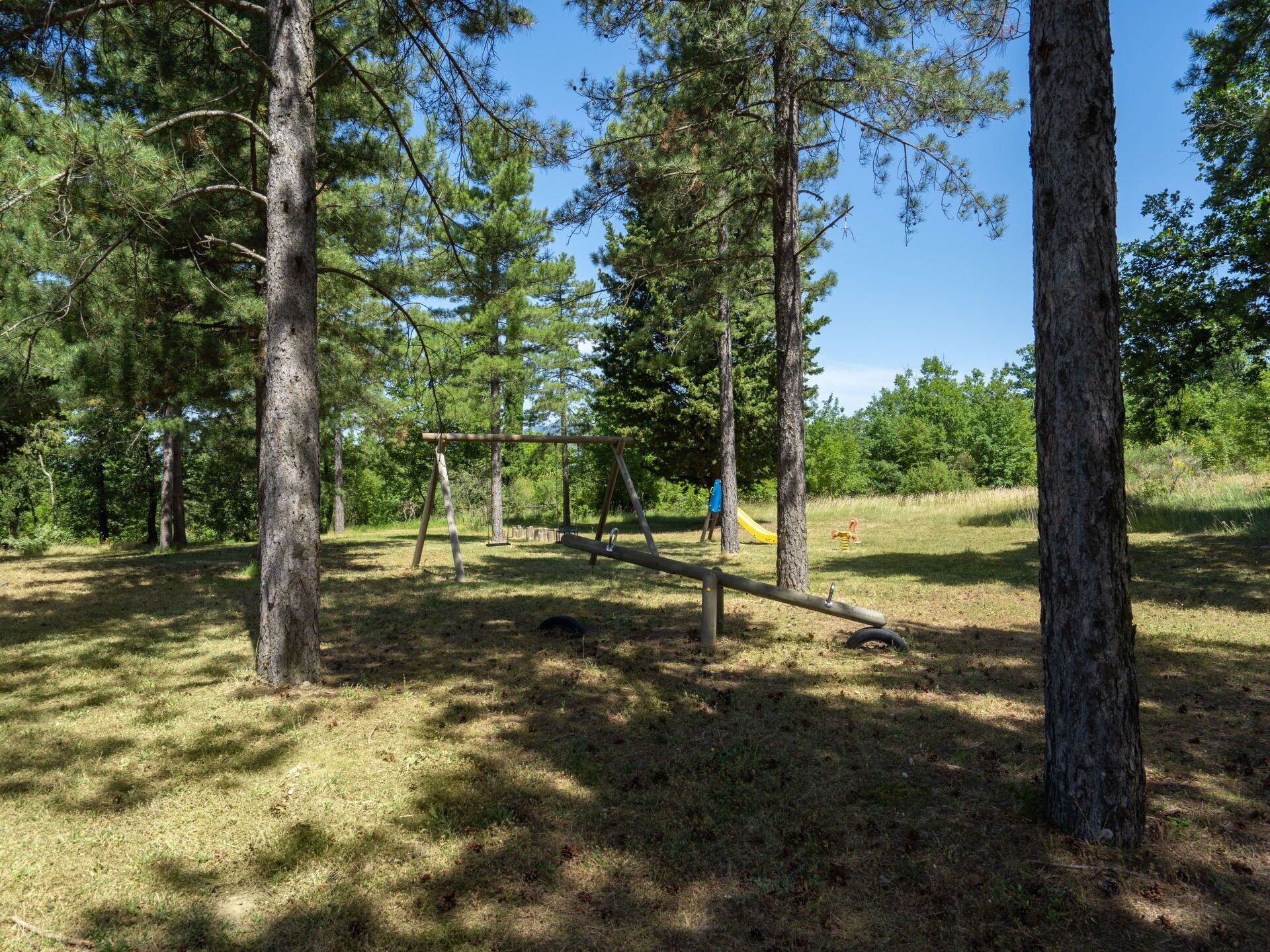A natural park setting with a playground, including swings and a slide, surrounded by tall trees and grassy areas.