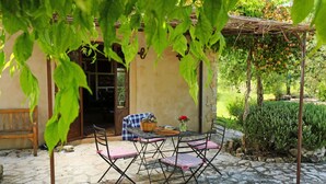 Un patio al aire libre con mesa y sillas, un banco, y una pérgola cubierta de enredaderas.