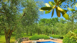 Una piscina rodeada de muros de piedra y abundante vegetación.