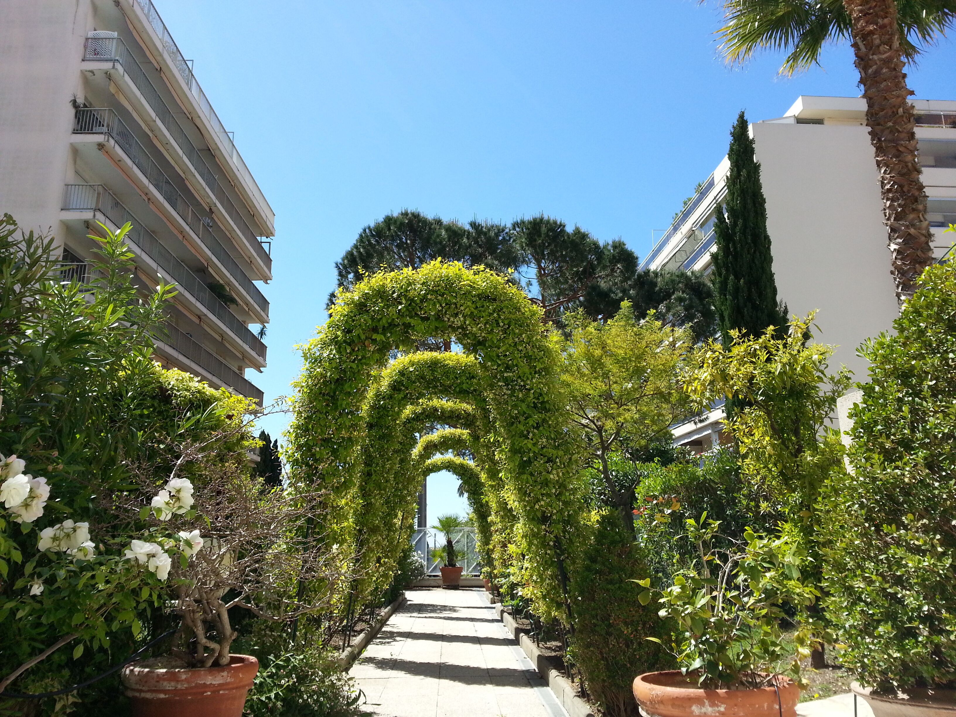 A pathway flanked by potted plants and a building with balconies.