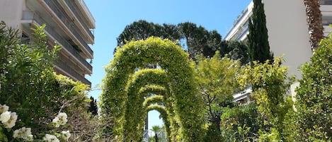 A pathway flanked by potted plants and a building with balconies.