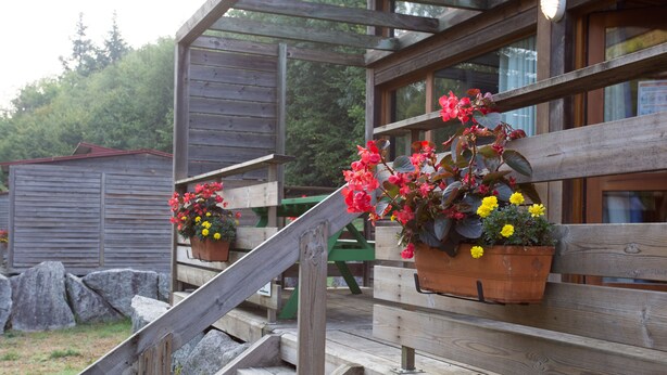 Een houten chalet met een houten trap naar een veranda. Op de veranda staan bloempotten met verschillende bloemen.