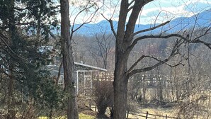 A wooded area with a metal structure, possibly a gazebo, surrounded by trees and a distant view of mountains.