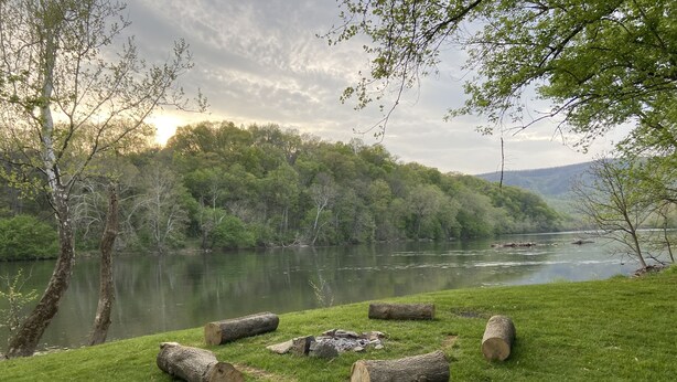 A serene riverside landscape with a grassy area and logs.