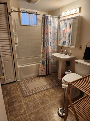 Combined shower/tub, hair dryer, bidet, towels