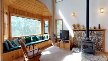 TV, fireplace, DVD player, books