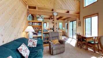 TV, fireplace, DVD player, books