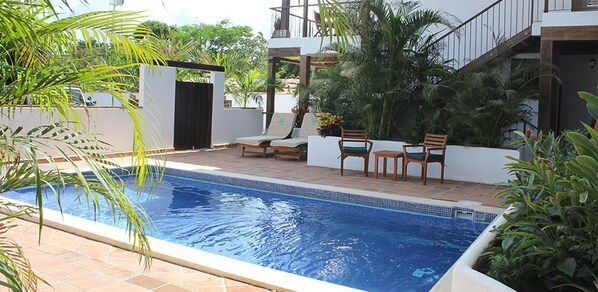 Piscine extérieure, chaises longues