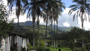 Ein weißes Haus mit Garten, umgeben von Palmen und einer gebirgigen Landschaft.