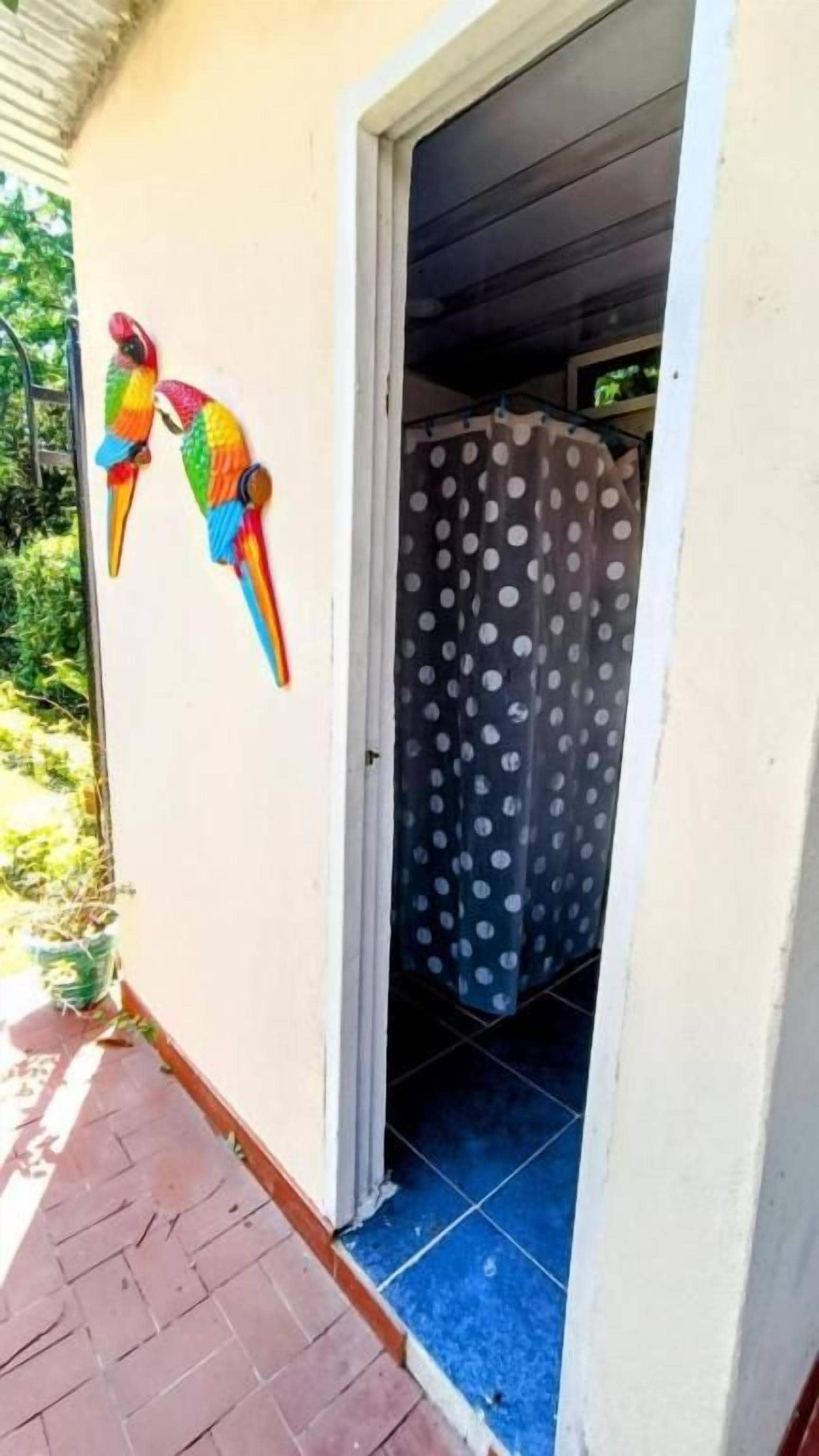 A doorway to a room with a polka dot shower curtain, a potted plant, and a colorful bird decoration.