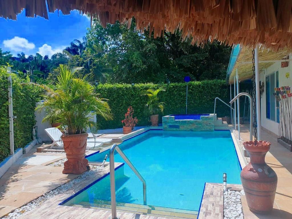 A swimming pool with a thatched roof structure, surrounded by potted plants and a stone pathway.