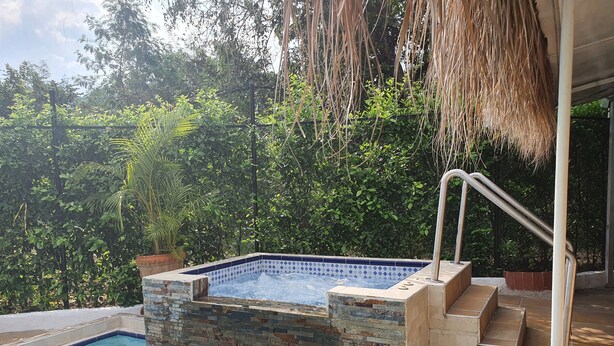 Una piscina con pared de piedra y un jacuzzi, rodeados de abundante follaje.