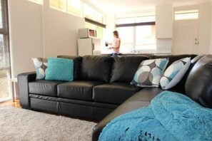 TV, DVD player, books, video library