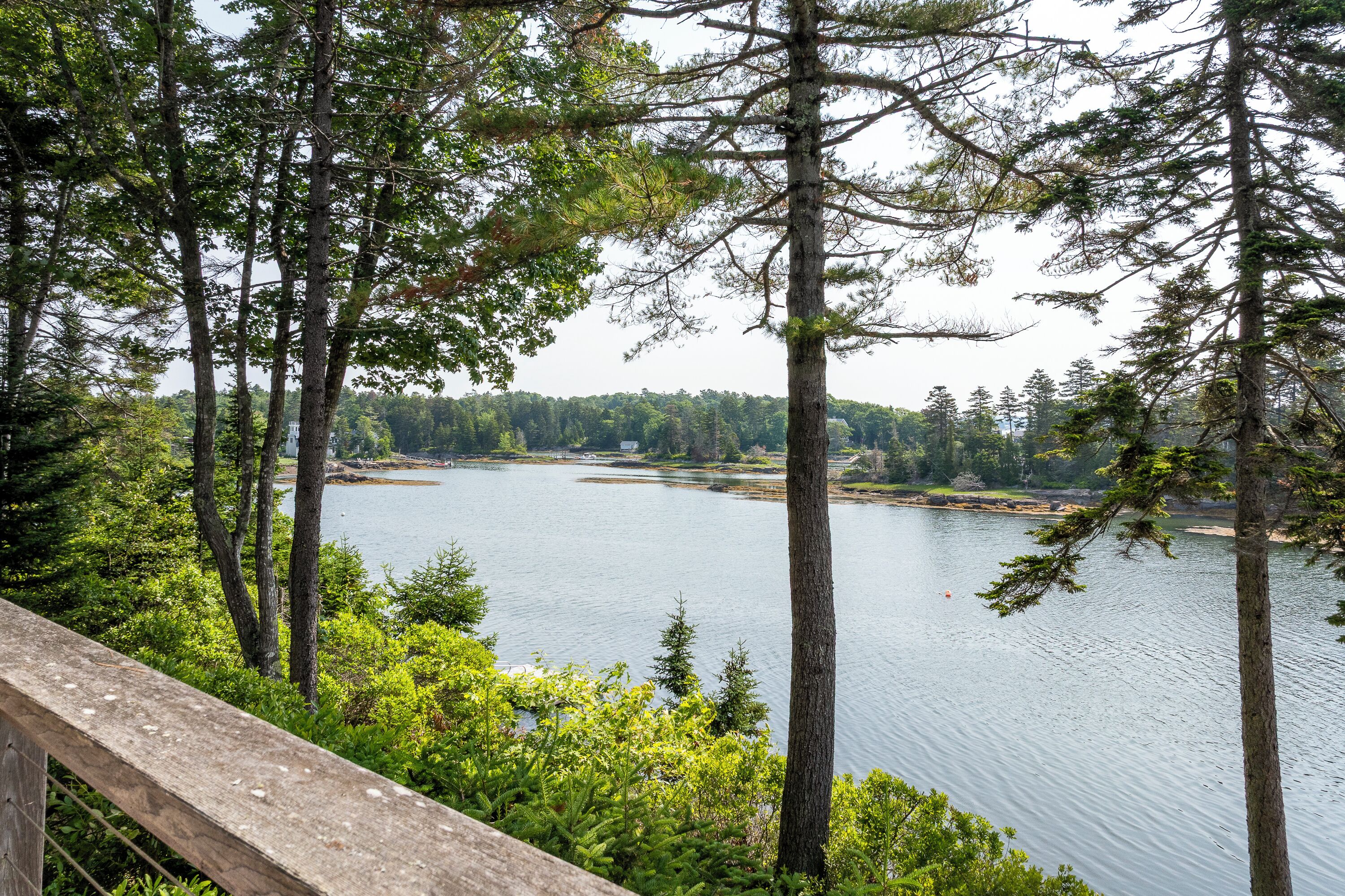 A lake surrounded by dense forest and a wooden deck.