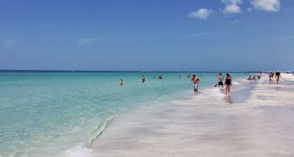 Nice studio near Anna Maria Island, IMG Academy, UTC Mall, Lecom Park