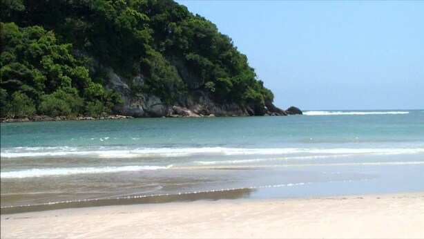 A beach with clear water, a sandy shore, and a forested cliff.