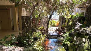 A koi pond with rocks and ferns, surrounded by lush greenery and a stone wall.