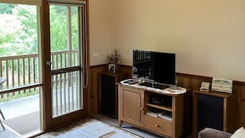 TV, DVD player, books, music library