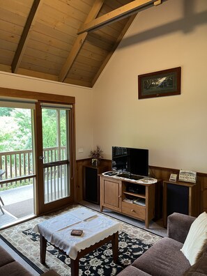 TV, DVD player, books, music library