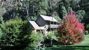 A two-story house with a porch and a large yard surrounded by trees.