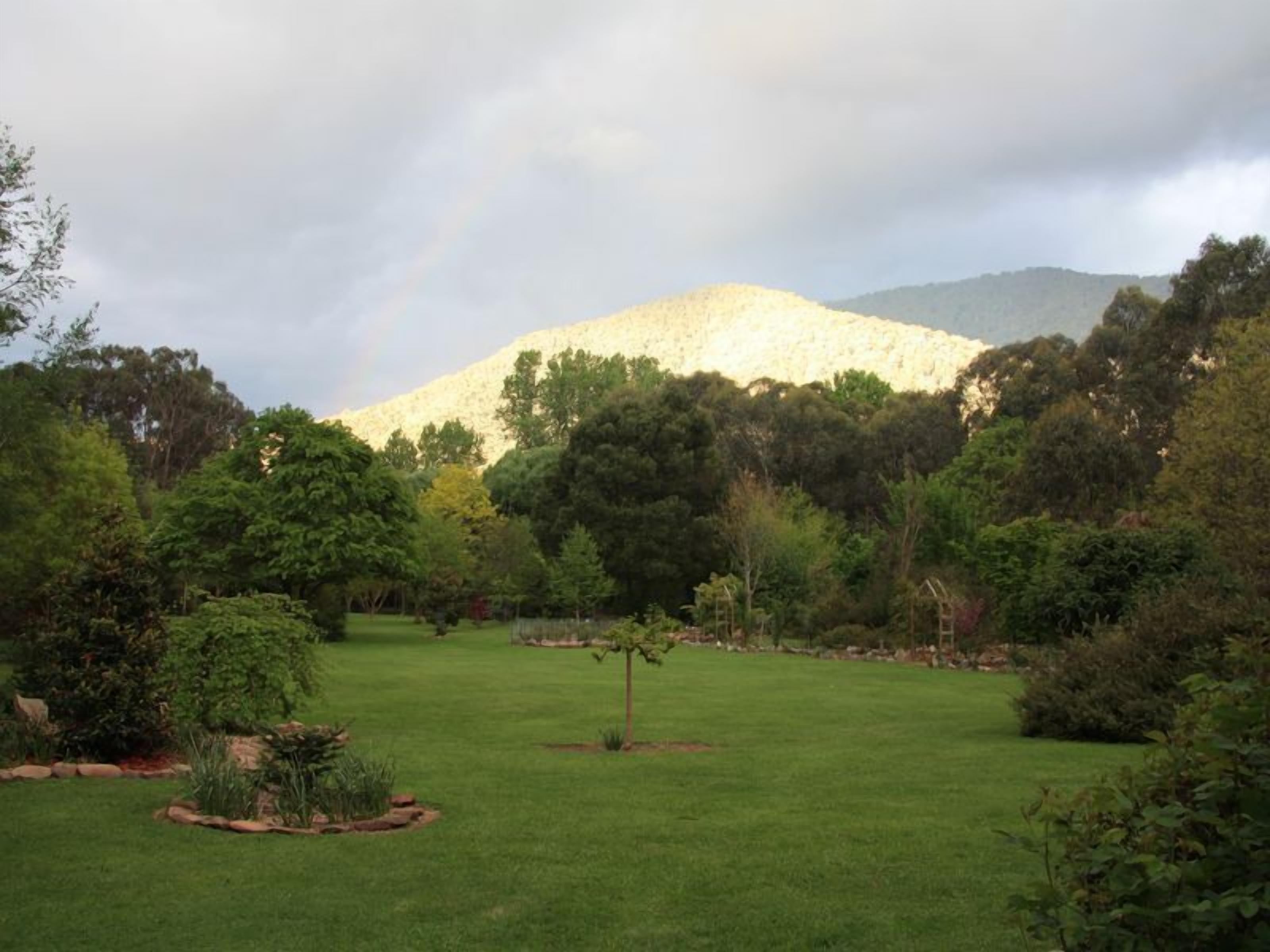 A lush green park with a mountain in the background.