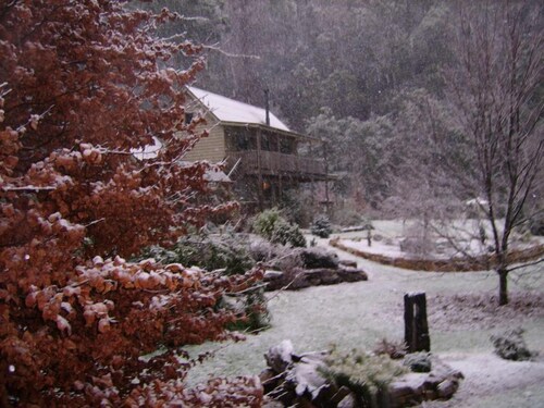 Shadybrook Alpine Apartment and garden
