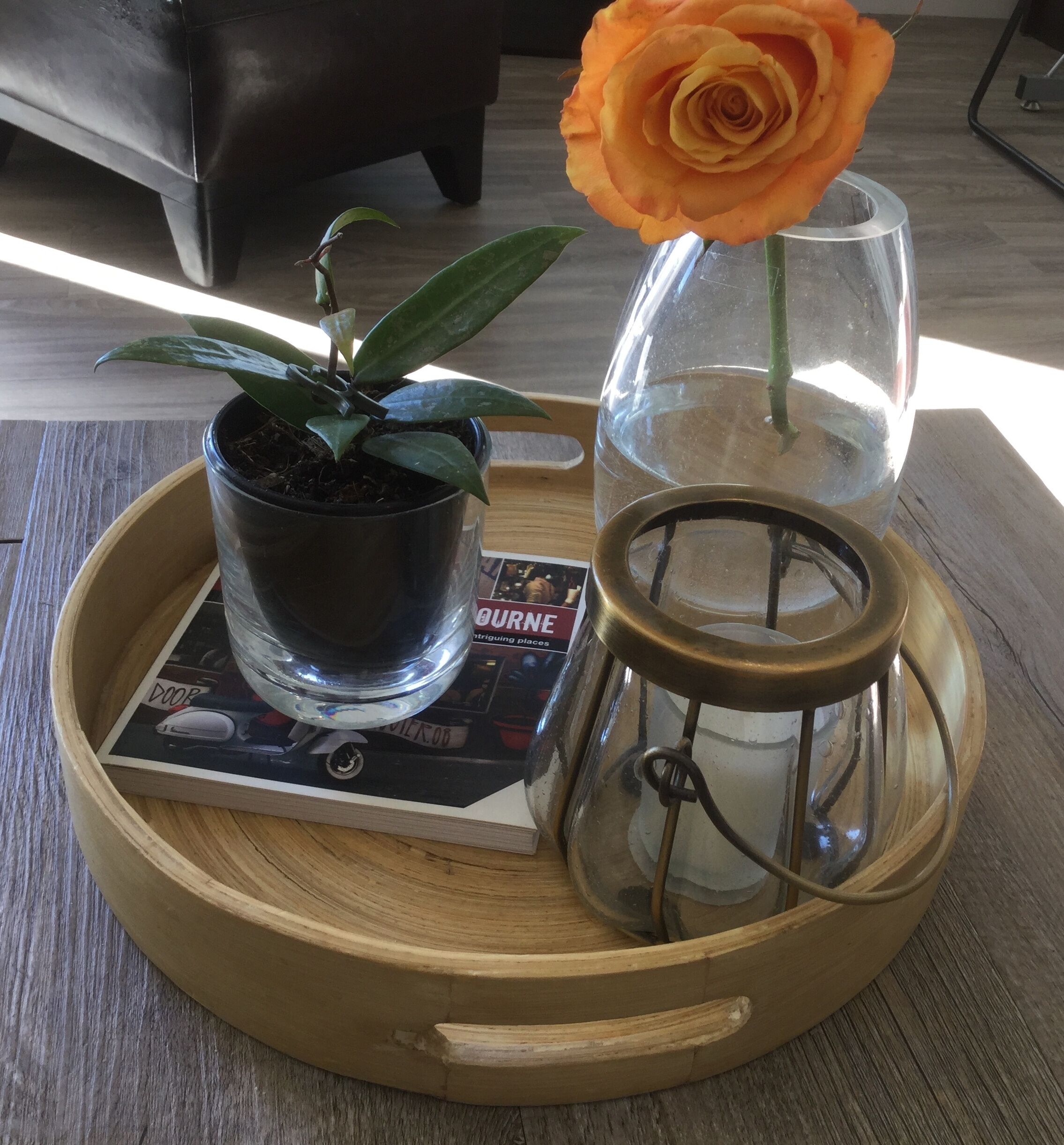 Pasadena Top Floor 1BR w balcony + free WiFi + parking — image 18