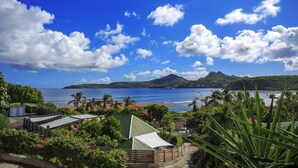 Una propiedad costera con vista al mar, una montaña y un exuberante jardín.