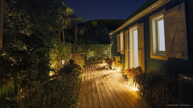 Una terraza de madera que lleva a una casa con múltiples ventanas, rodeada de abundante vegetación.