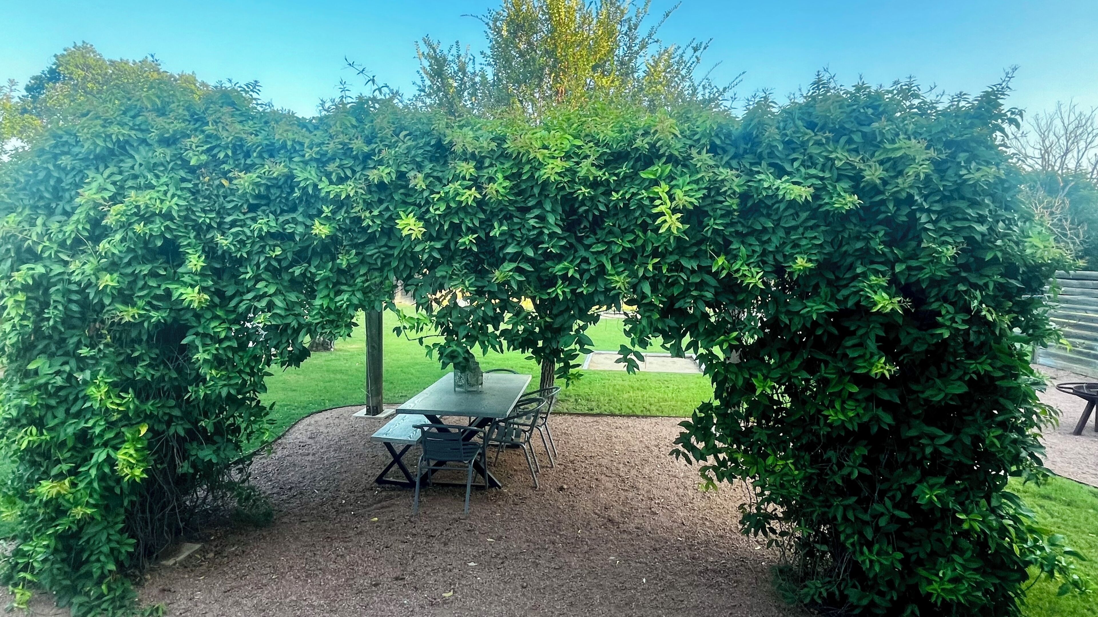 A gazebo with a table and chairs underneath, surrounded by dense green foliage.