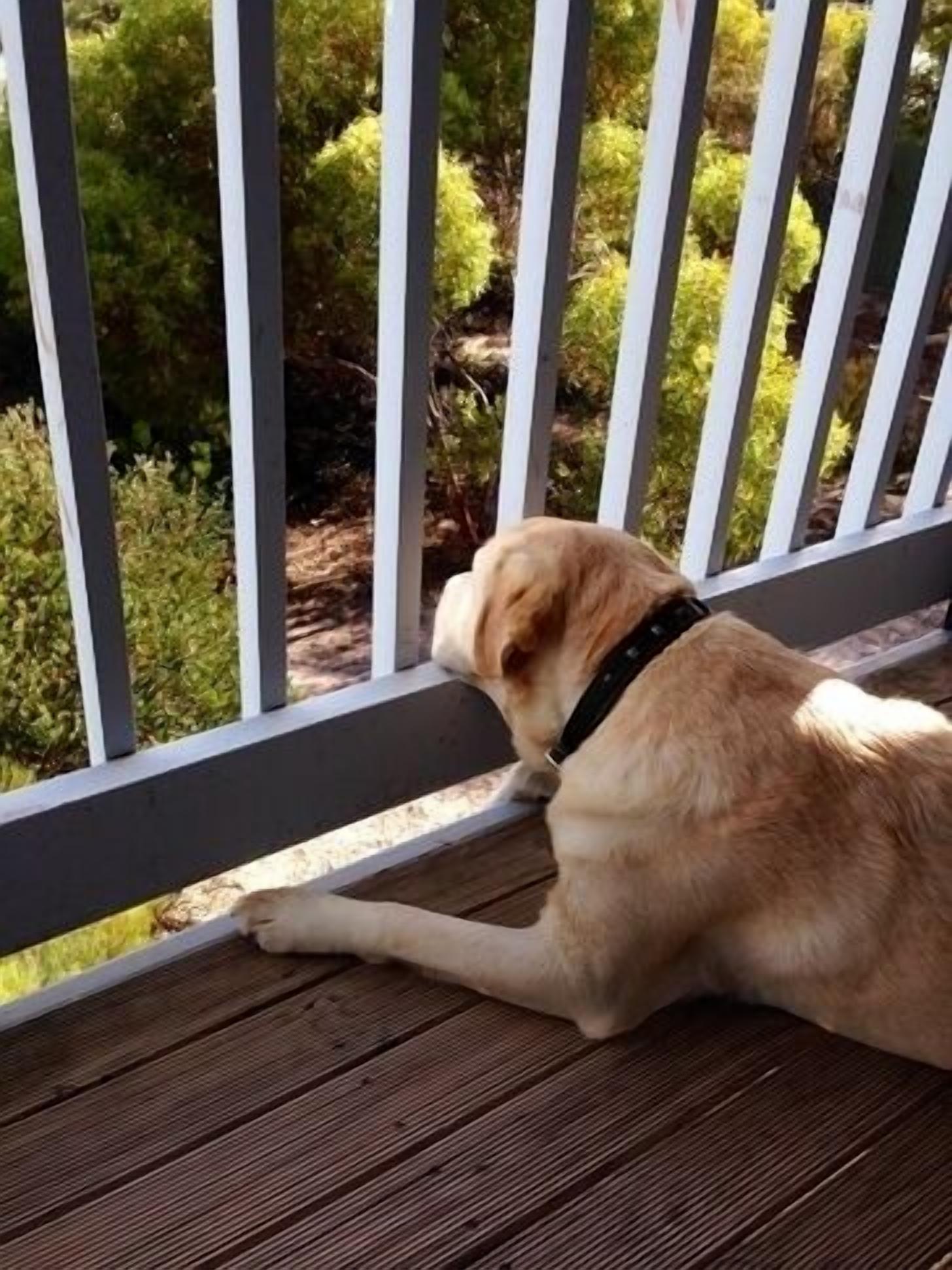 The Eyrie - coastal retreat — image 2