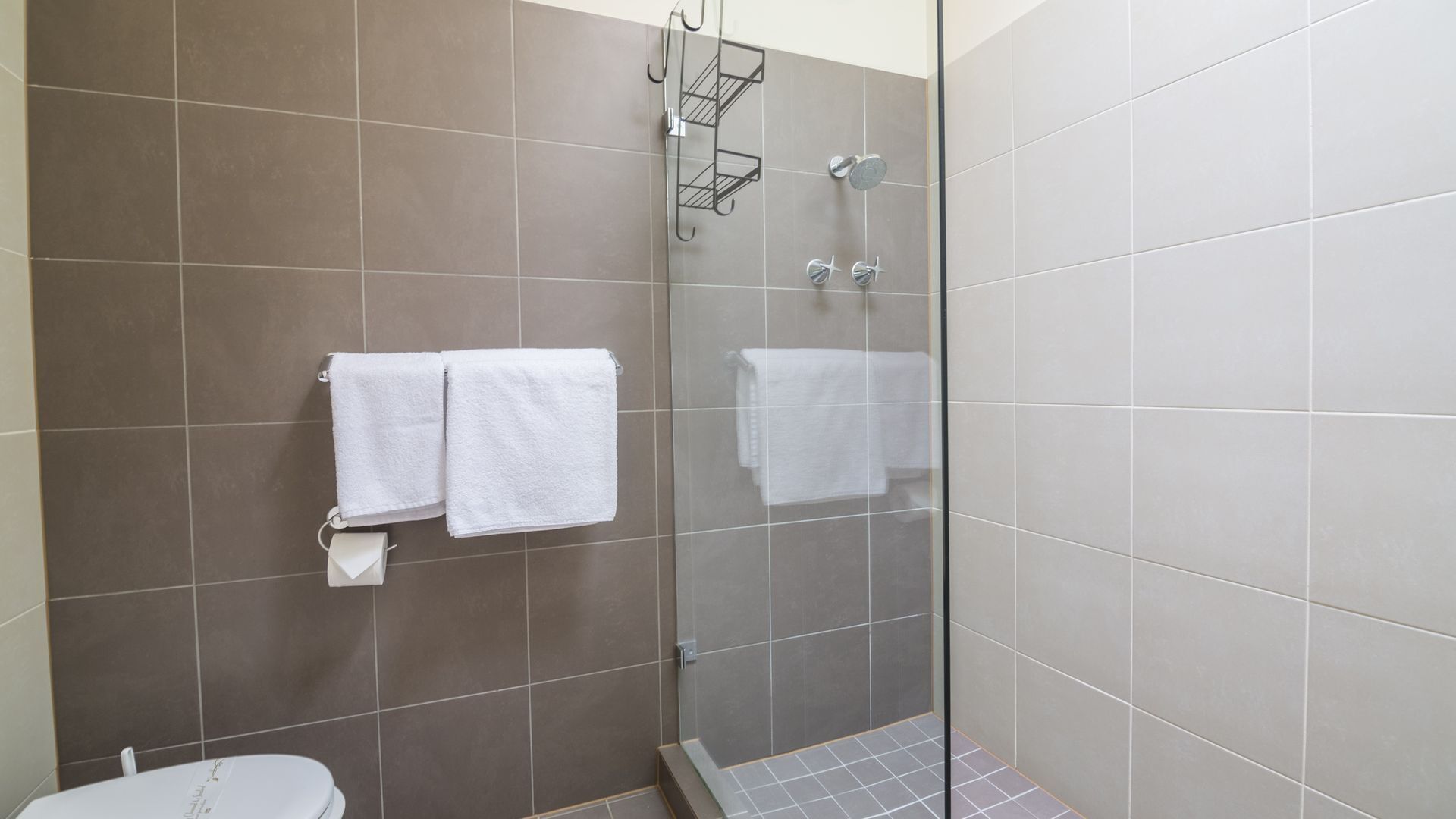 Dusche, Haartrockner, Handtücher, Shampoo
