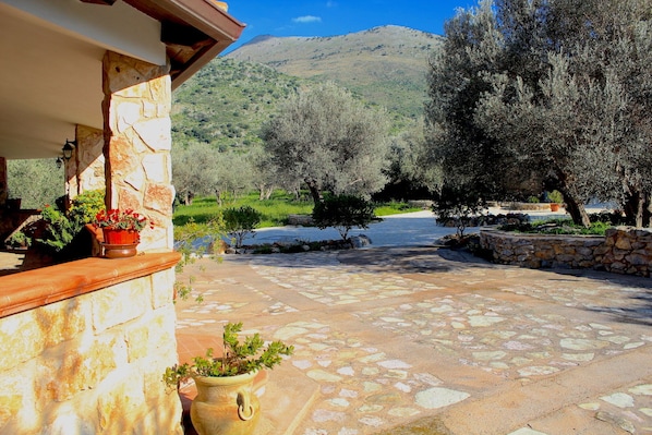 Área da propriedade