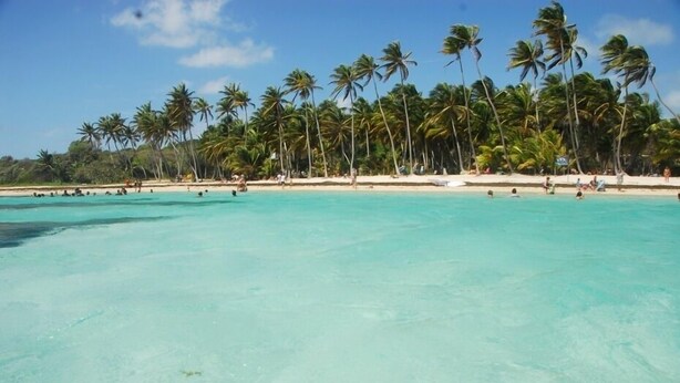 Une plage à l’eau turquoise et limpide, bordée de palmiers et d’un rivage sablonneux.