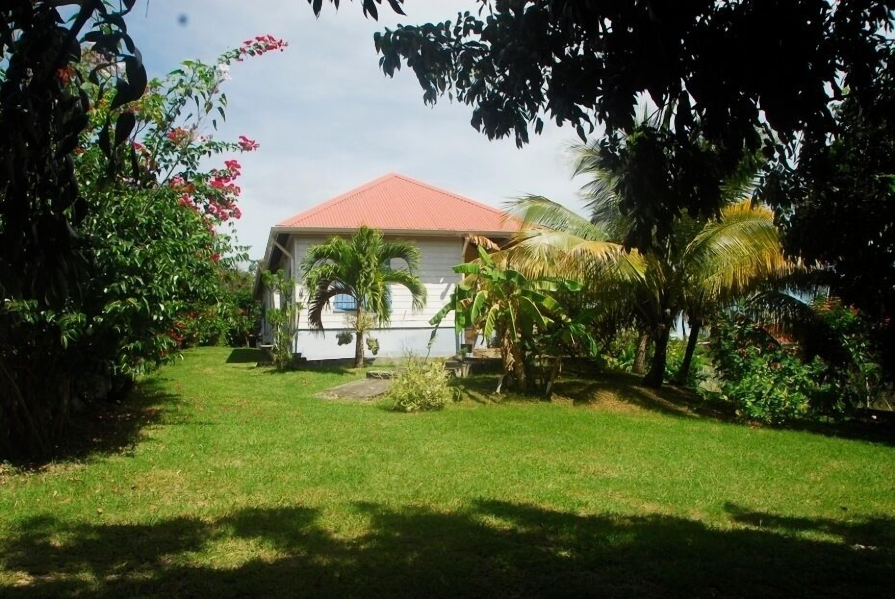 A house with a red roof, surrounded by lush greenery and palm trees.