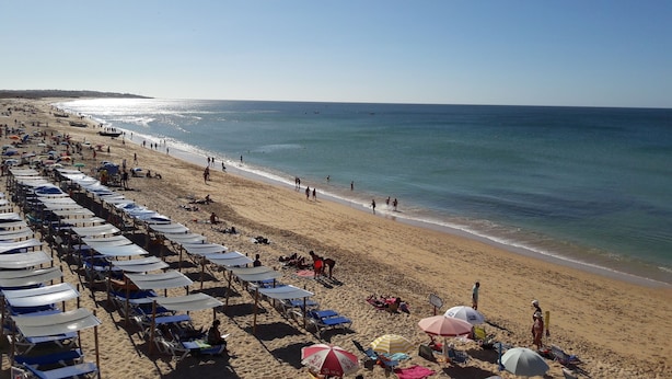 Uma praia com fileiras de guarda-sóis e espreguiçadeiras, céu claro e o oceano.