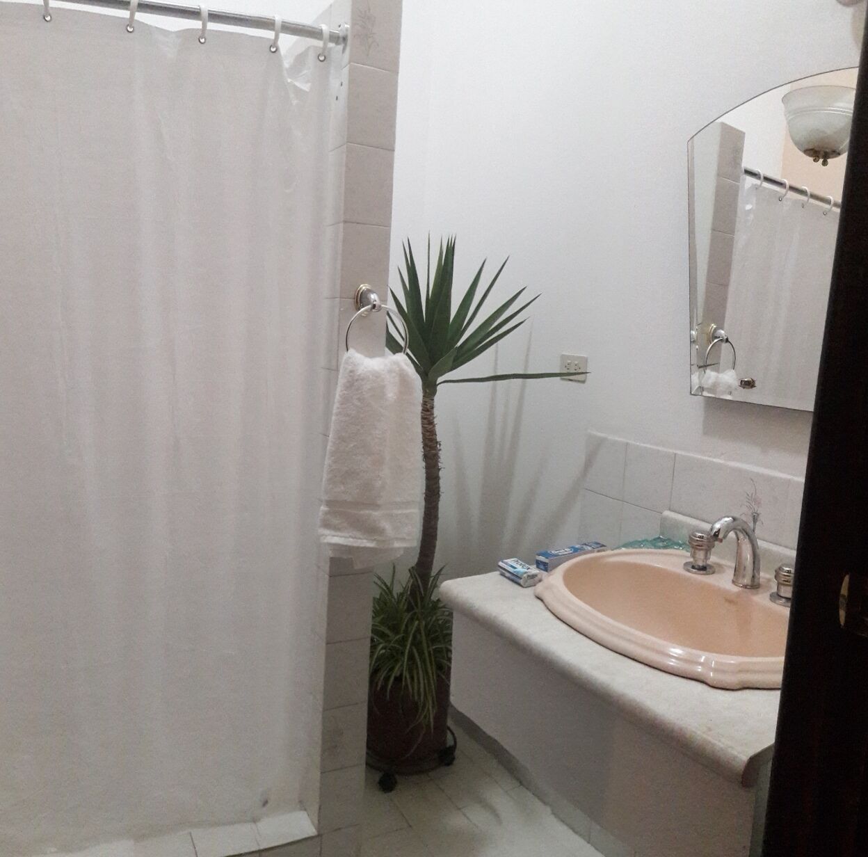 Un baño con cortina de ducha, lavamanos, espejo y una planta en maceta.