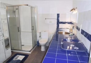 Bathroom features a glass-enclosed shower, toilet, and sink with a blue-tiled countertop.