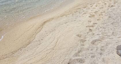 House dominant position on the sea with garden