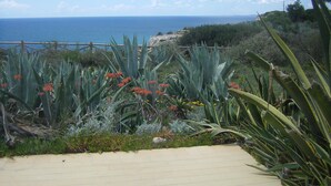 A coastal garden with a paved walkway, various plants, and a view of the sea. - Apartment Isabel (Carvoeiro)