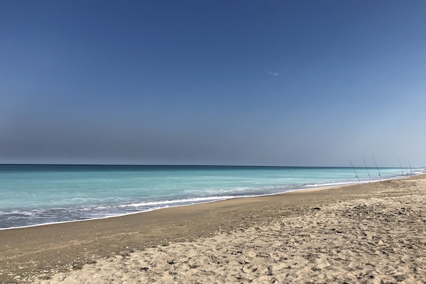 Plage, chaises longues, serviettes de plage